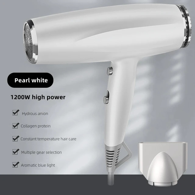 Costco Hair Dryer