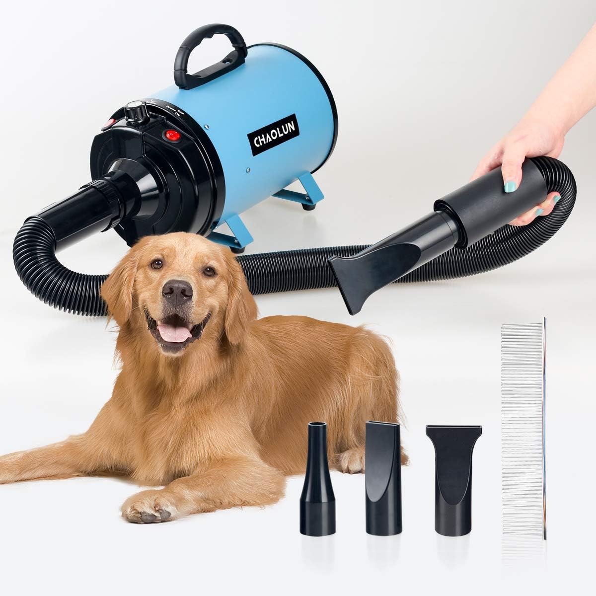 can you use a hair dryer on a dog