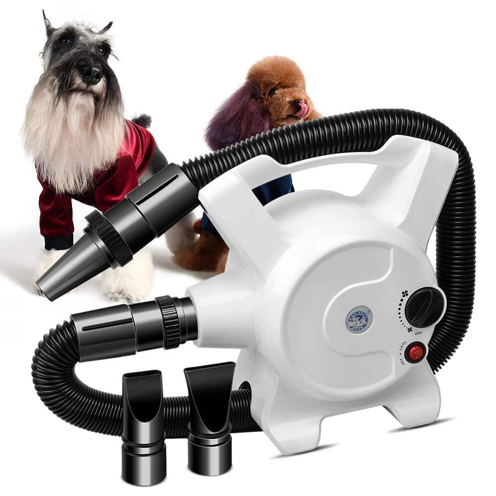 can you use a hair dryer on a dog