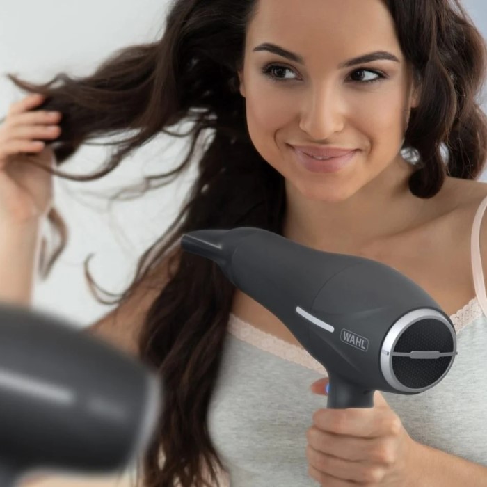 hair dryer temperature range