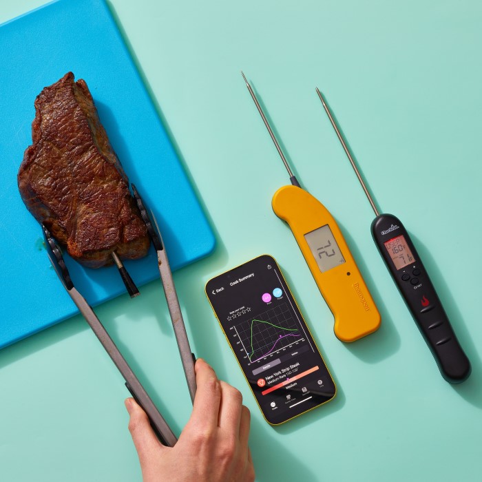 best digital thermometer for cooking