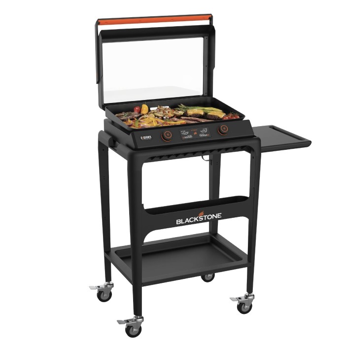 electric griddle reviews