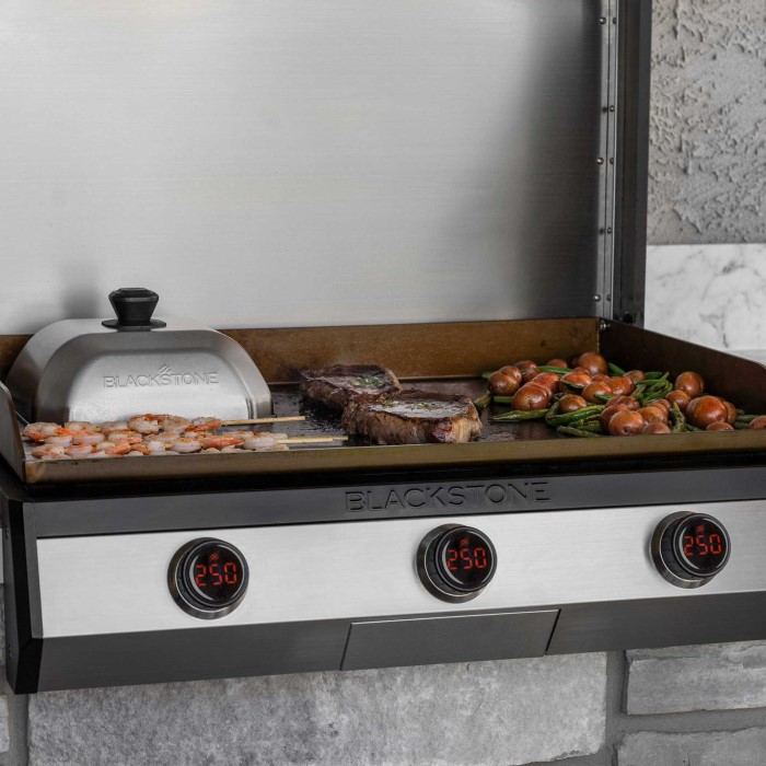electric blackstone griddle