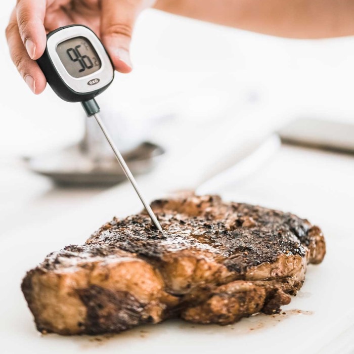 how to use a digital meat thermometer