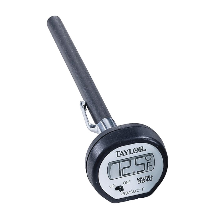 taylor digital thermometer