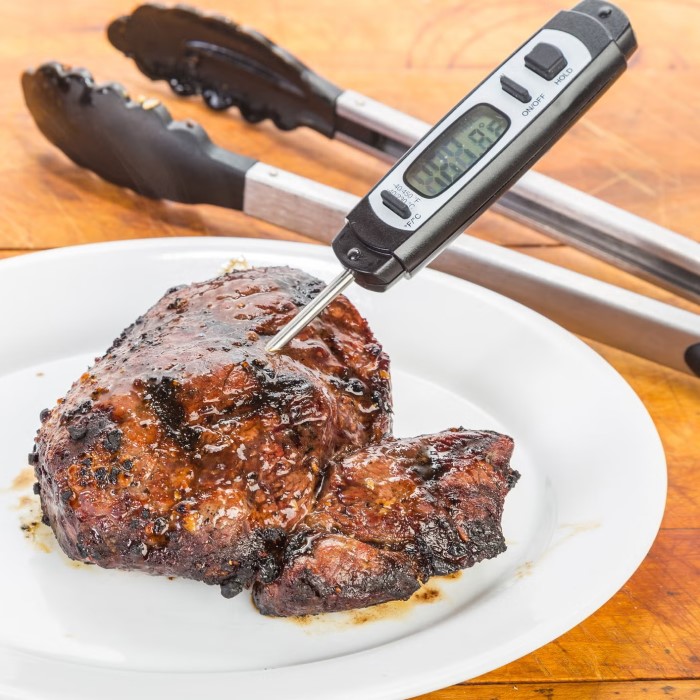 how to use a digital meat thermometer