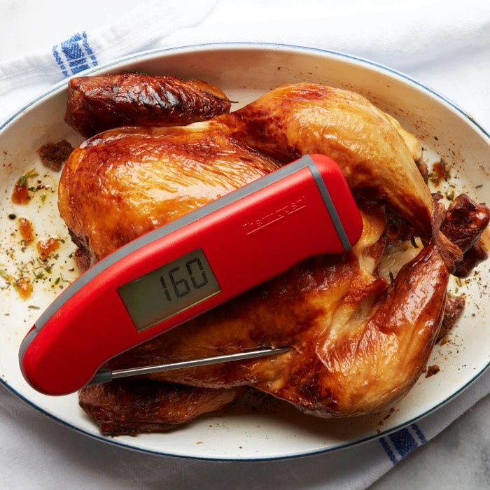 best digital thermometer for cooking