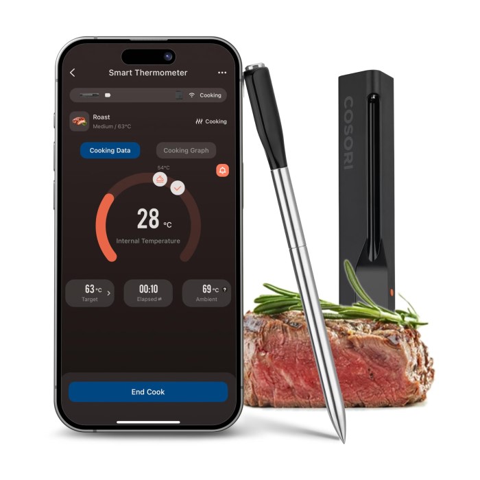 best digital thermometer for cooking