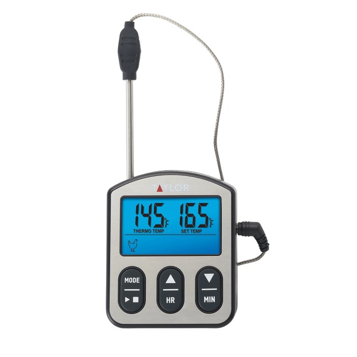 digital thermometer with probe