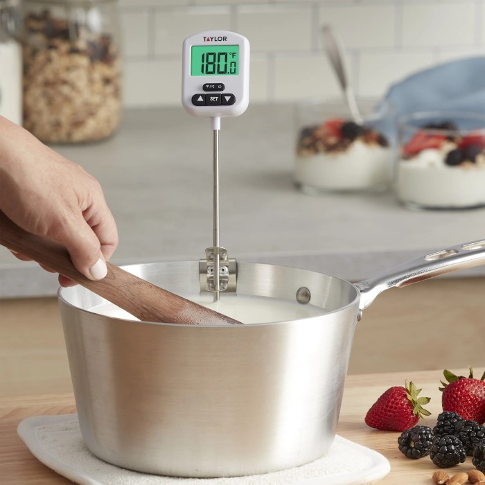 digital candy thermometer
