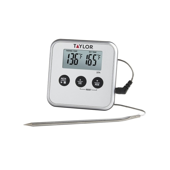 digital thermometer with probe