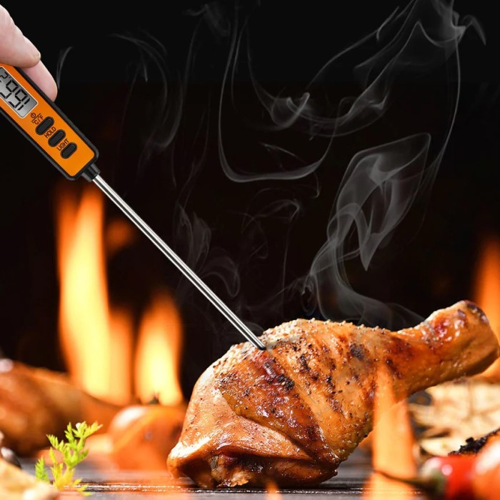how to use a digital meat thermometer