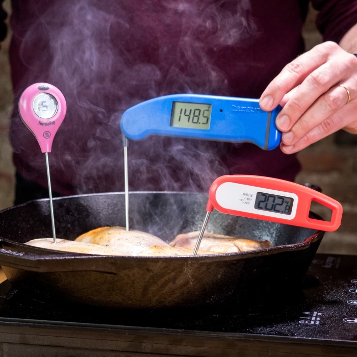 best digital thermometer for cooking
