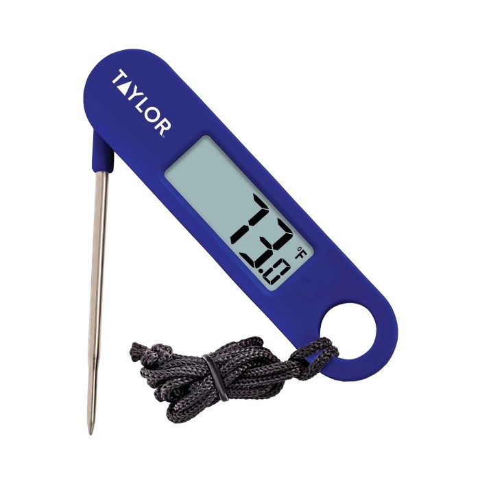 taylor digital thermometer