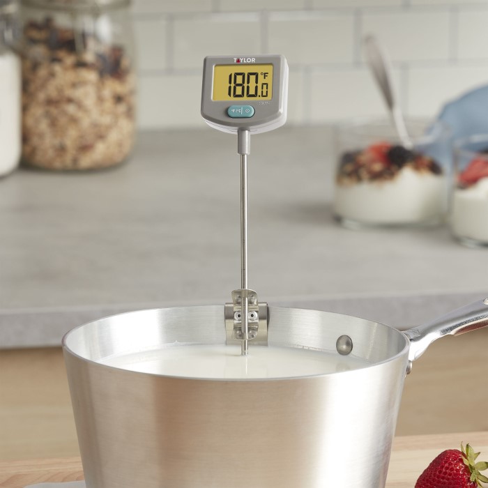 digital candy thermometer