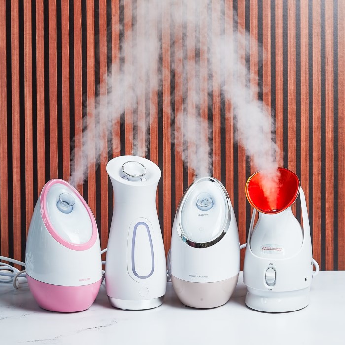 vanity planet facial steamer