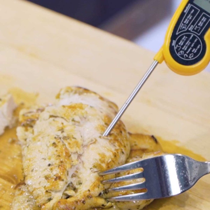how to use a digital meat thermometer