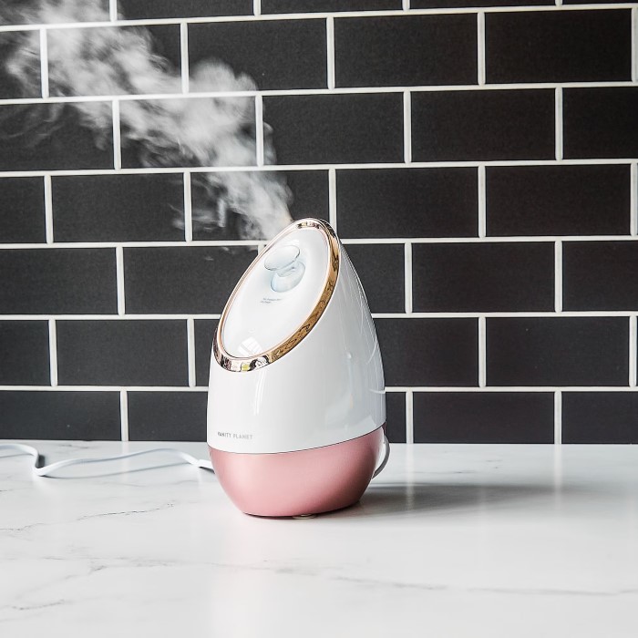vanity planet facial steamer