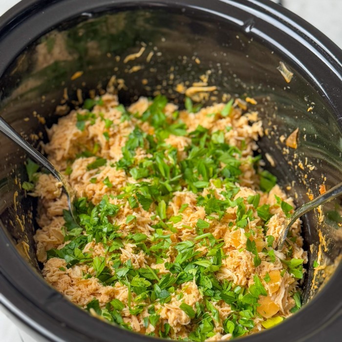 how to make shredded chicken in crockpot